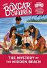 The Mystery of the Hidden Beach (Boxcar Children Mysteries, Band 41)