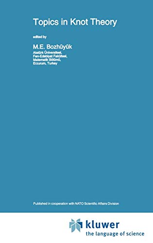 Topics in Knot Theory (Nato Science Series C:, 399, Band 399)