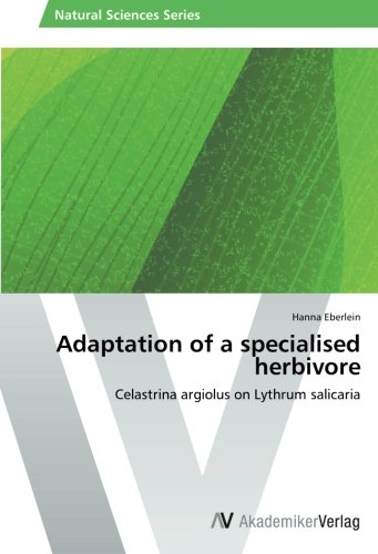 Adaptation of a specialised herbivore: Celastrina argiolus on Lythrum salicaria