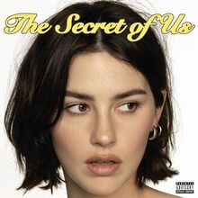 The Secret Of Us (Yellow LP)