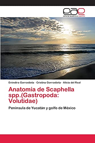Anatomía de Scaphella spp.(Gastropoda: Volutidae): Península de Yucatán y golfo de México