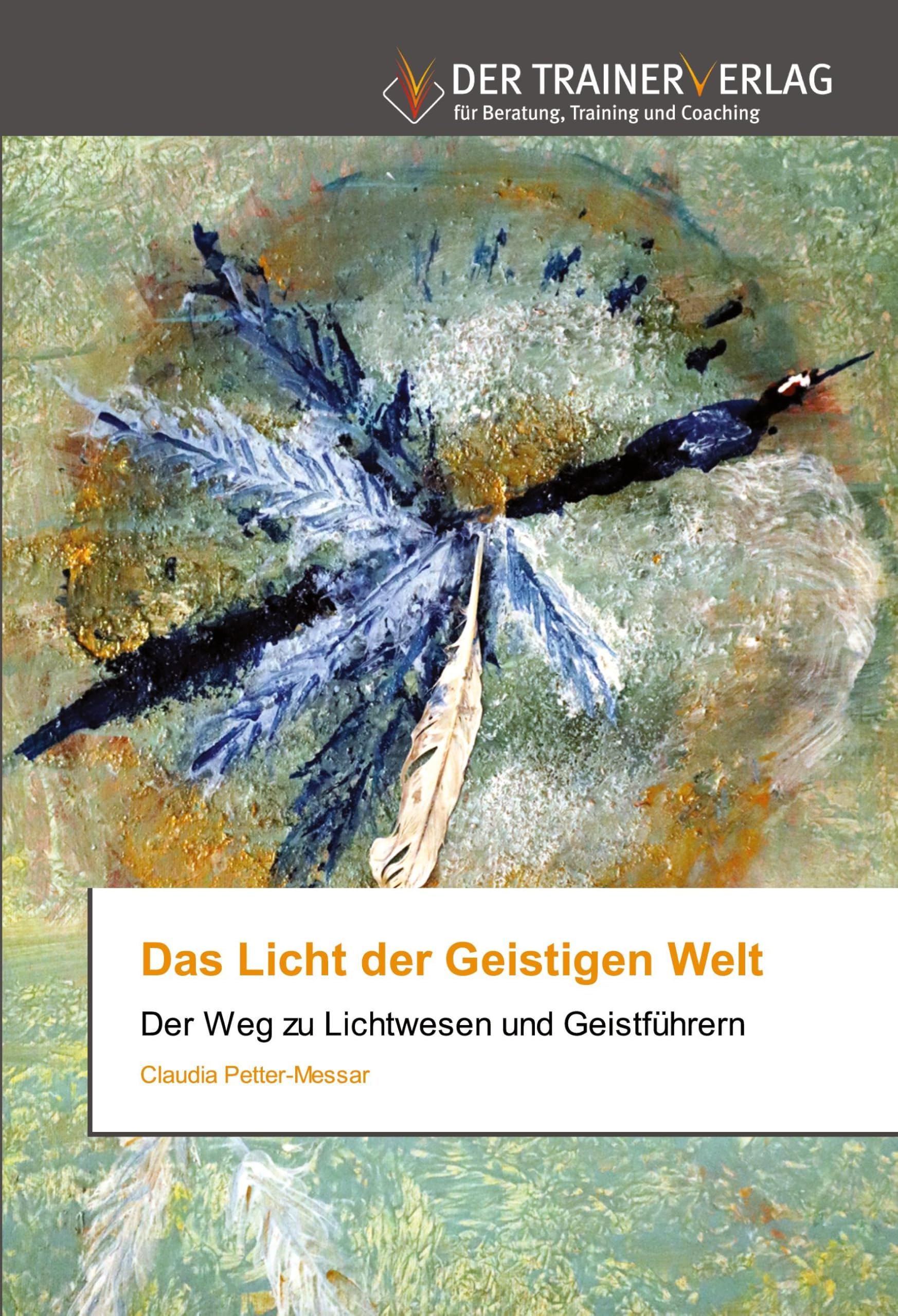 Das Licht der Geistigen Welt: Der Weg zu Lichtwesen und Geistführern