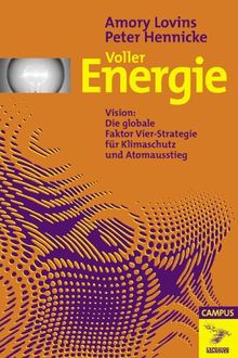 Voller Energie: Vision: Die globale Faktor Vier-Strategie für Klimaschutz und Atomausstieg