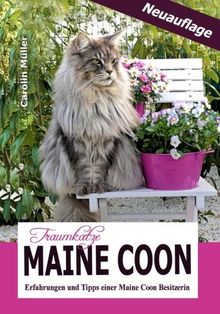 Traumkatze Maine Coon - Erfahrungen und Tipps einer Maine Coon Besitzerin von Müller, Carolin | Buch | Zustand sehr gut
