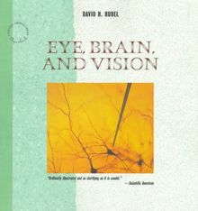 Eye, Brain, and Vision (Scientific American Library Series)