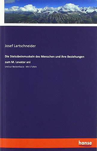 Die Steissbeinmuskeln des Menschen und ihre Beziehungen zum M. Levator ani: Und zur Beckenfascie - Mit 5 Tafeln