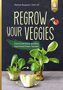 Regrow your veggies: Gemüsereste endlos nachwachsen lassen