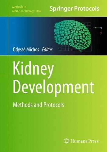 Kidney Development: Methods and Protocols (Methods in Molecular Biology)