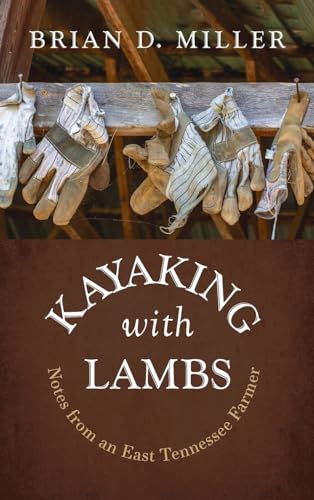 Kayaking with Lambs