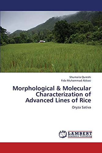 Morphological & Molecular Characterization of Advanced Lines of Rice: Oryza Sativa