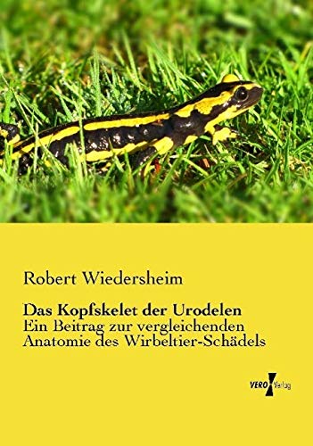 Das Kopfskelet der Urodelen: Ein Beitrag zur vergleichenden Anatomie des Wirbeltier-Schädels