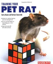 Training Your Pet Rat von G. Buscis | Buch | Zustand gut