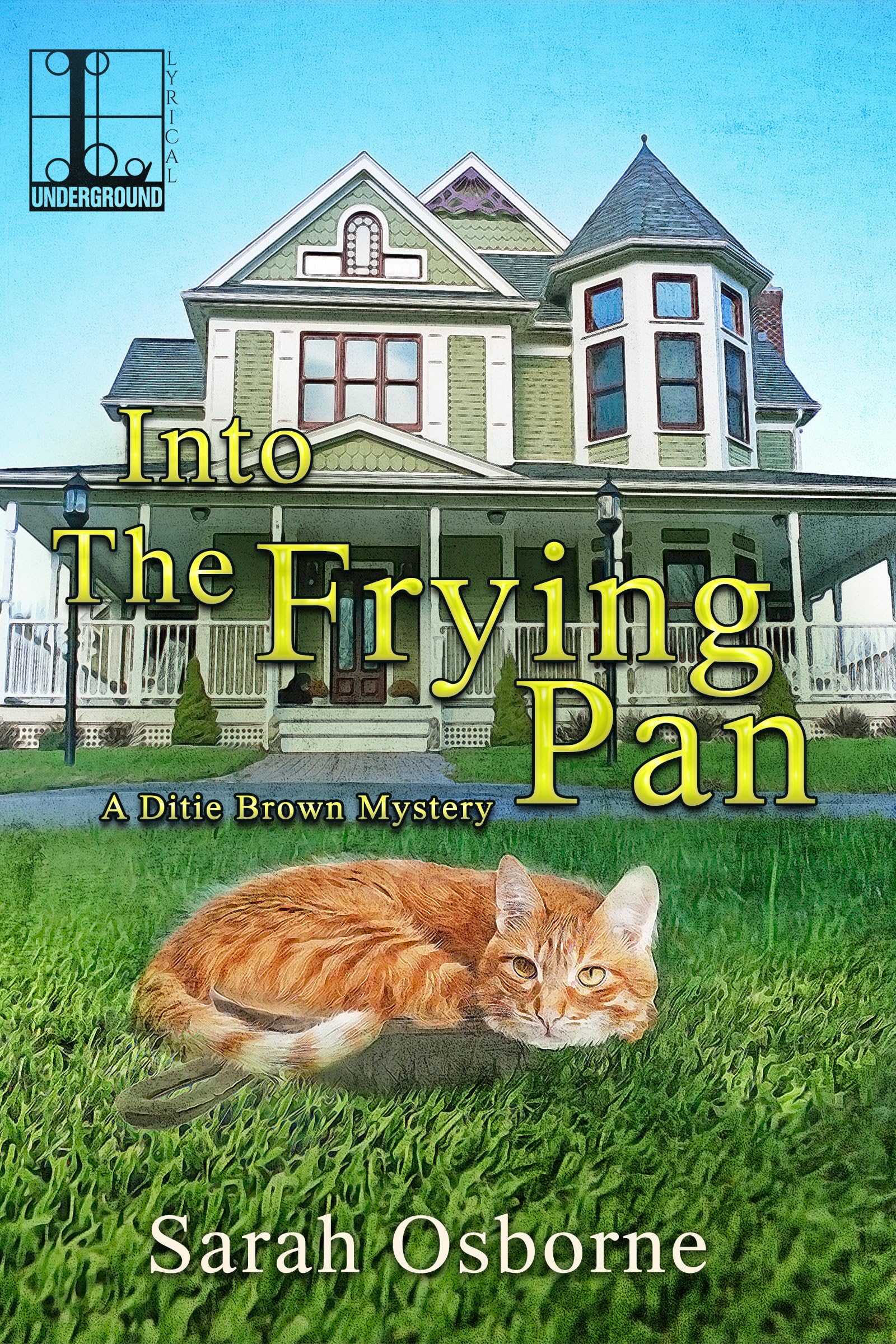 Into the Frying Pan (A Ditie Brown Mystery, Band 2)