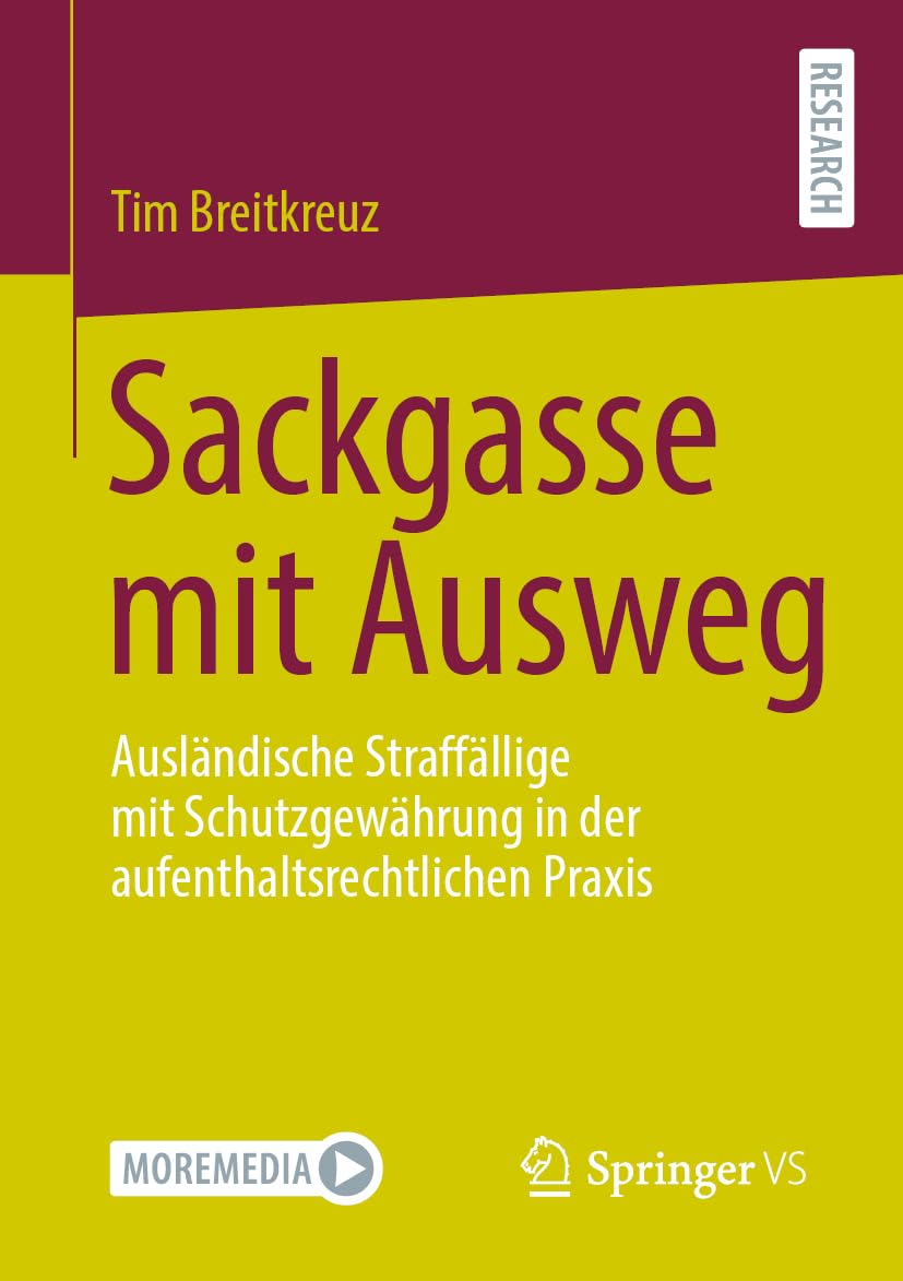 Sackgasse mit Ausweg: Ausländische Straffällige mit Schutzgewährung in der aufenthaltsrechtlichen Praxis