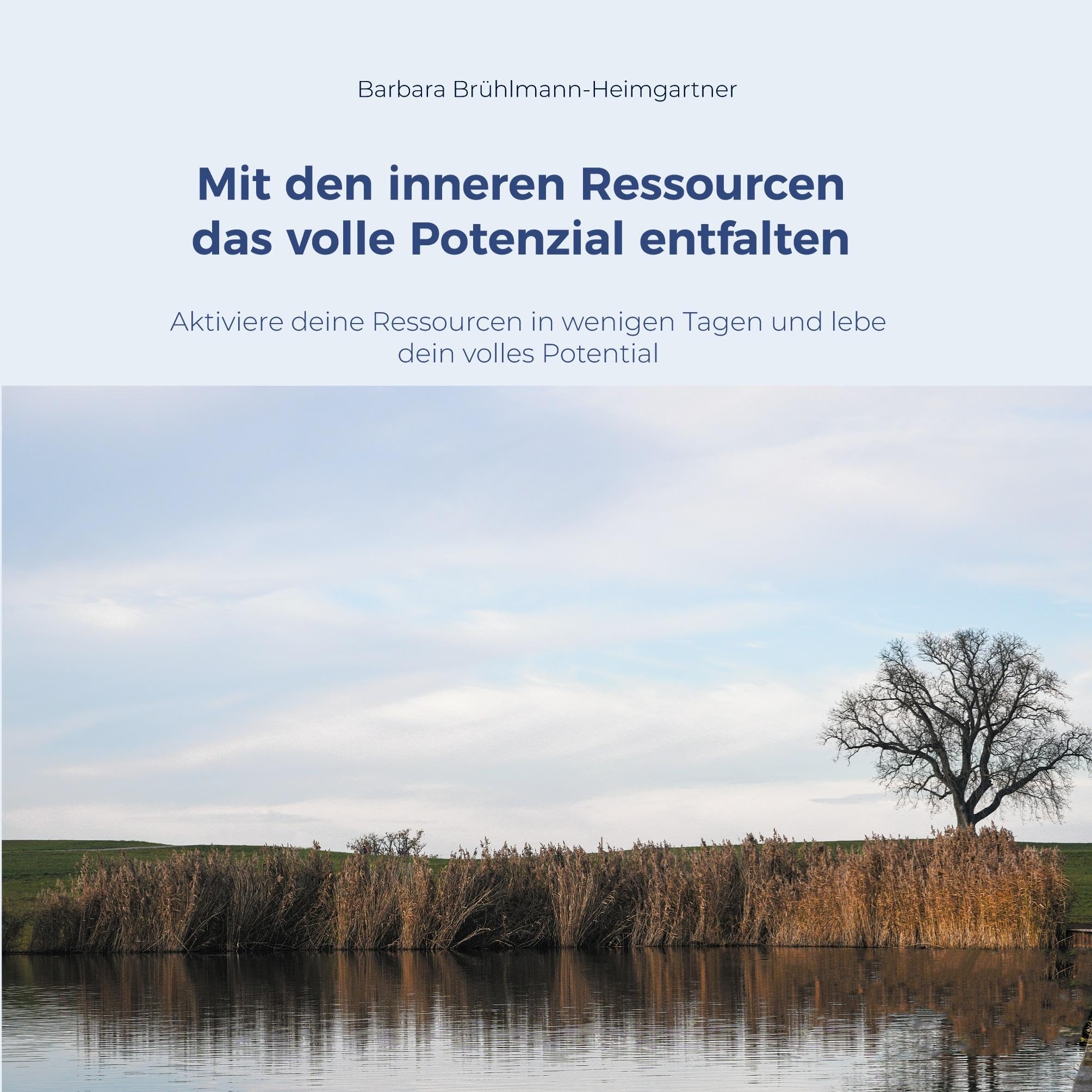 Mit den inneren Ressourcen das volle Potenzial entfalten: Aktiviere deine Ressourcen in wenigen Tagen und lebe dein volles Potential