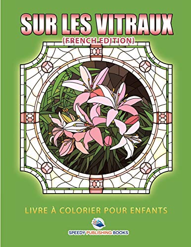 Livre à Colorier Pour Enfants Sur Les Vitraux