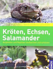 Kröten, Echsen, Salamander: beobachten und schützen: Amphibien und Reptilien beobachten und schützen