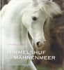 Himmelshuf und Mähnenmeer: Drei Pferde-Fotogeschichten