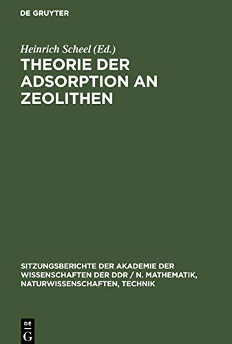 Theorie der Adsorption an Zeolithen