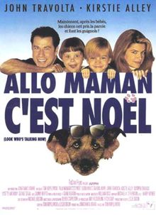 Allo maman c'est Noël [FR Import]