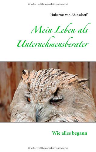 Mein Leben als Unternehmensberater: Wie alles begann
