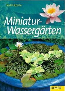 Schöne Miniatur-Wassergärten