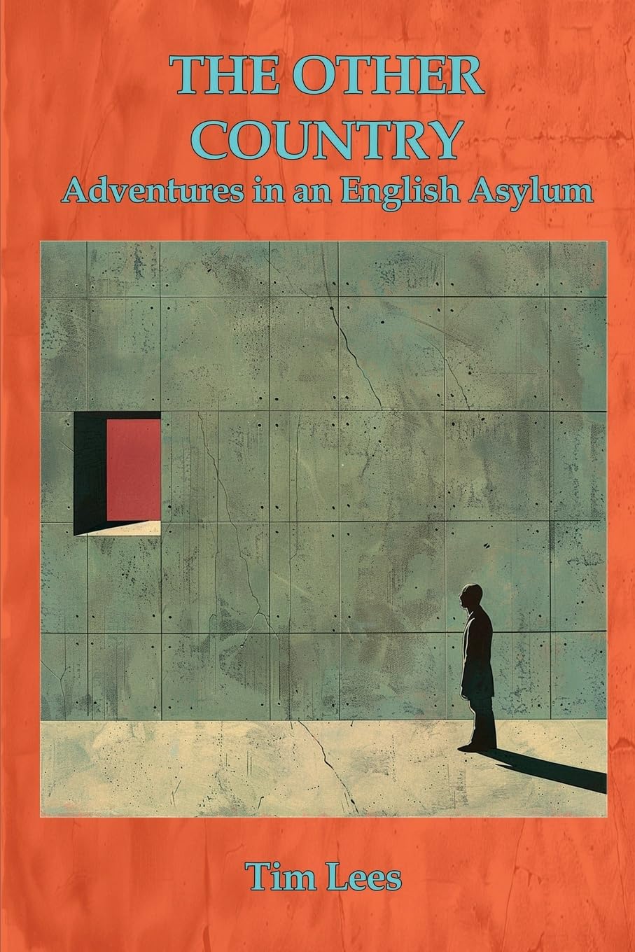 The Other Country: Adventures In An English Asylum