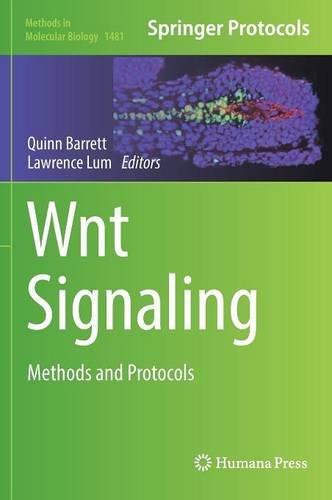 Wnt Signaling: Methods and Protocols (Methods in Molecular Biology)
