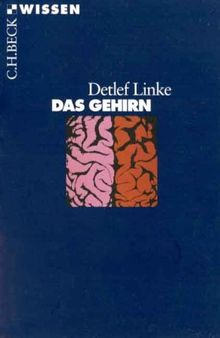 Das Gehirn