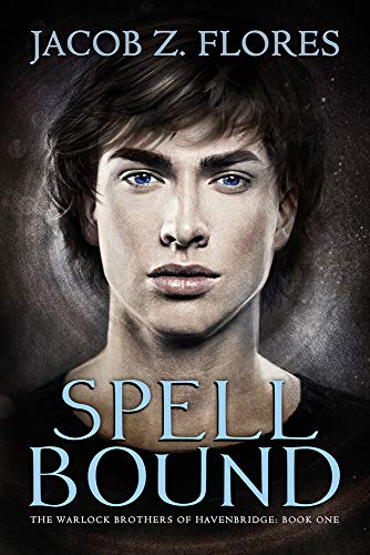 Spell Bound (The Warlock Brothers of Havenbridge)