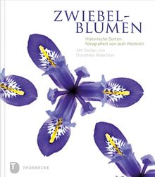 Zwiebelblumen - Historische Sorten fotografiert von Josh Westrich