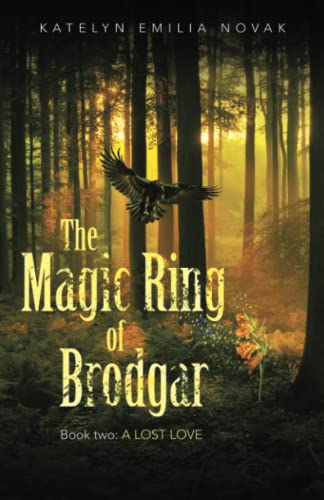 The Magic Ring of Brodgar: Book two: a lost love