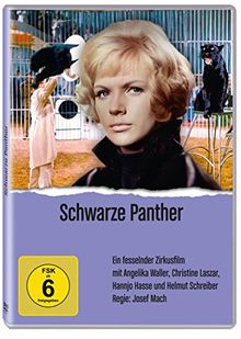 Schwarze Panther