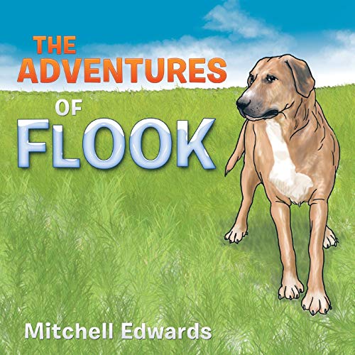 THE ADVENTURES OF FLOOK