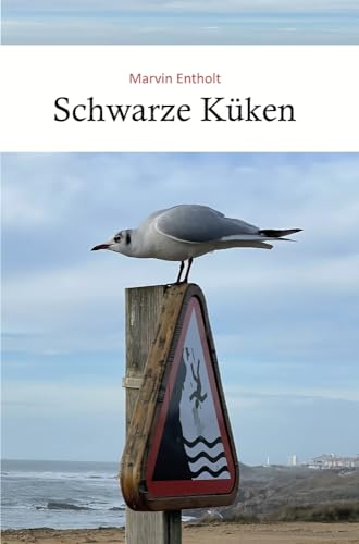 Schwarze Küken