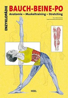 Enzyklopädie Bauch - Beine - Po: Anatomie - Muskeltraining - Stretching