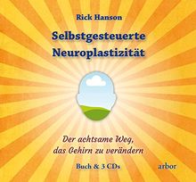 Selbstgesteuerte Neuroplastizität: Der achtsame Weg, das Gehirn zu verändern