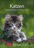 Katzen Kalender 2021: Wochenplaner, 53 Blatt mit Zitaten und Wochenchronik