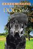 Boof A Quirky Dog's Tale