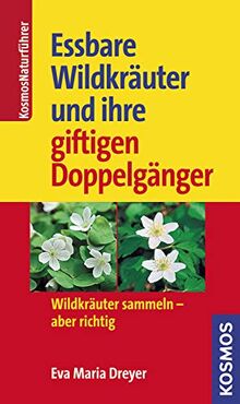 Essbare Wildkräuter und ihre giftigen Doppelgänger: Wildkräuter sammeln - aber richtig