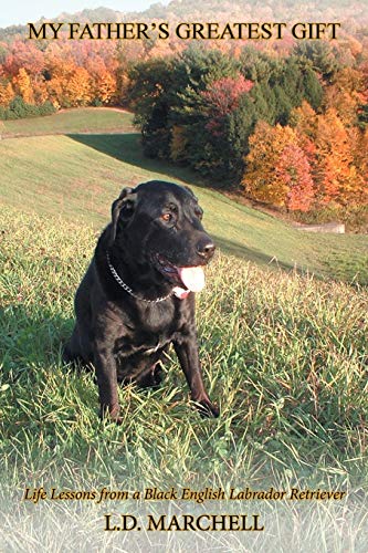 “My Father’s Greatest Gift”: Life Lessons from a Black English Labrador Retriever