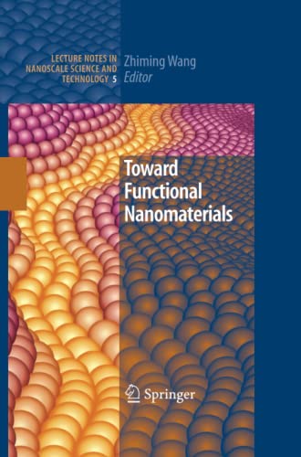 Toward Functional Nanomaterials (Lecture Notes in Nanoscale Science and Technology, Band 5)
