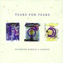 Saturnine Martial & Lunatic de Tears for Fears | CD | état très bon