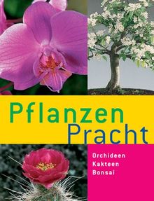 Pflanzen Pracht