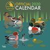 BROWNTROUT UK: I Like Birds 2020 Square Wall Calendar