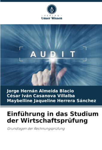 Einführung in das Studium der Wirtschaftsprüfung: Grundlagen der Rechnungsprüfung