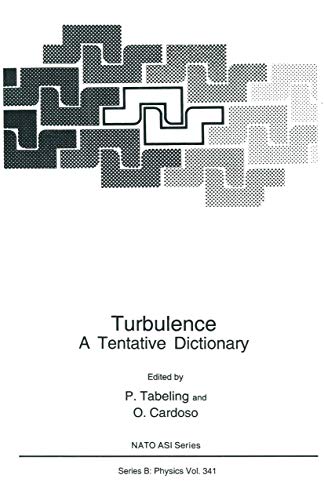 Turbulence: A Tentative Dictionary (Nato Science Series B: (Closed)) (Nato Science Series B:, 341, Band 341)