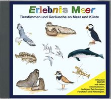 Erlebnis Meer - Tierstimmen und Geräusche an Meer und Küste