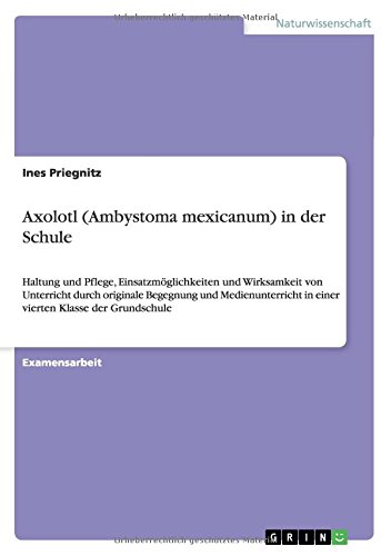Axolotl (Ambystoma mexicanum) in der Schule: Haltung und Pflege, Einsatzmöglichkeiten und Wirksamkeit von Unterricht durch originale Begegnung und ... in einer vierten Klasse der Grundschule