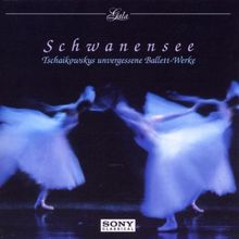 Schwanensee von peter Iljitsch Tschaikowsky  | CD | Zustand sehr gut